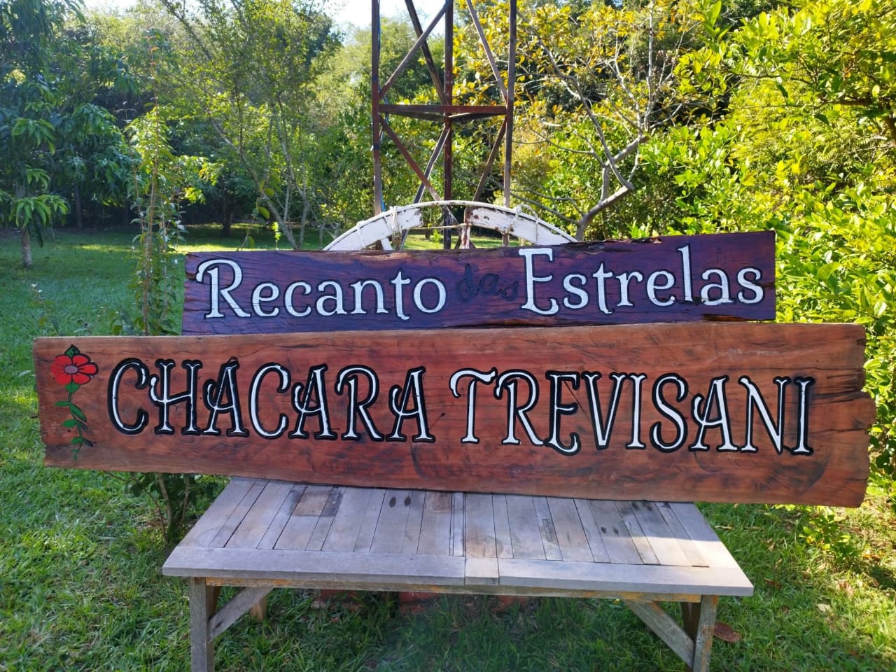 WhatsApp Image 2025-06-26 at 11.38.25.jpeg